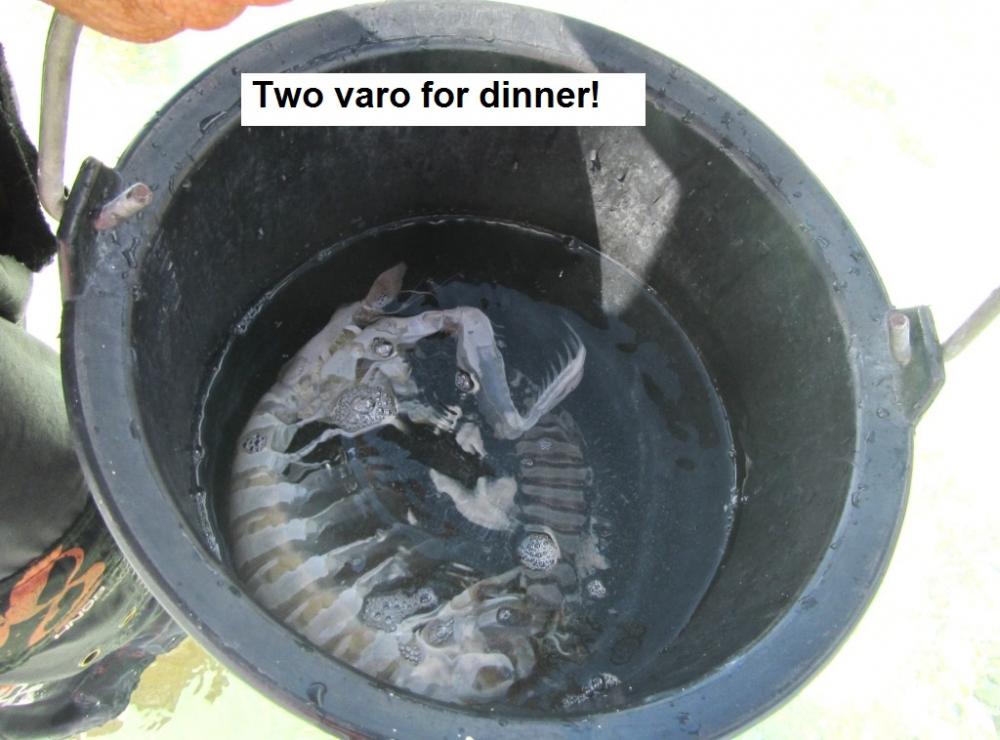 Two varo for dinner!
